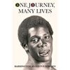 One Journey, Many Lives - Paperback