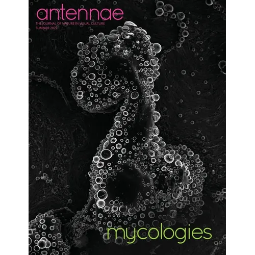 Antennae #58 Mycologies - Paperback