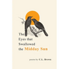 The Eyes That Swallowed the Midday Sun - Paperback