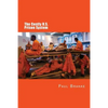The Costly U. S. Prison System: Too Costly in Dollars, National Prestige, and Lives - Paperback