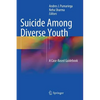 Suicide Among Diverse Youth: A Case-Based Guidebook - Hardcover
