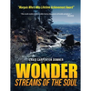 Wonder Streams of the Soul - Paperback