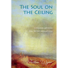 The Soul on the Ceiling: conversations on reincarnation - Paperback