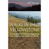 Walks in Wild Yellowstone: A Summer of Solo Backpacking in Yellowstone National Park - Paperback