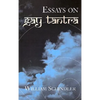 Essays on Gay Tantra - Paperback