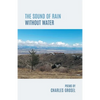 The Sound of Rain Without Water - Paperback