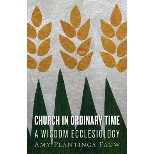 Church in Ordinary Time: A Wisdom Ecclesiology - Paperback