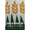 Church in Ordinary Time: A Wisdom Ecclesiology - Paperback