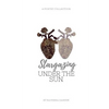 Stargazing Under The Sun - Paperback