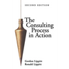 The Consulting Process in Action - Paperback