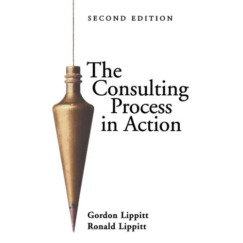 The Consulting Process in Action - Paperback