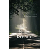 Waking to the Dream - Paperback