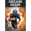 Chicago Bears Fun Facts - Paperback