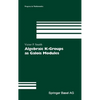 Algebraic K-Groups as Galois Modules - Hardcover