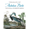 Treasury of Audubon Birds: 130 Plates from the Birds of America - Paperback