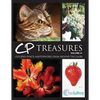 CP Treasures, Volume III: Colored Pencil Masterworks from Around the Globe - Paperback