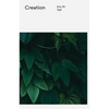 Creation - Paperback