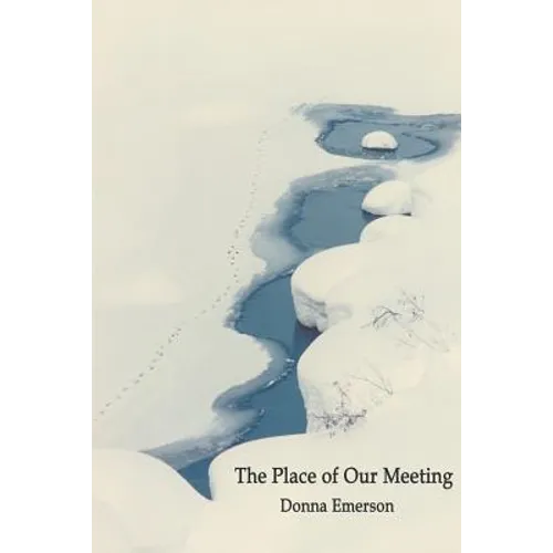 The Place of Our Meeting - Paperback