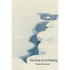 The Place of Our Meeting - Paperback