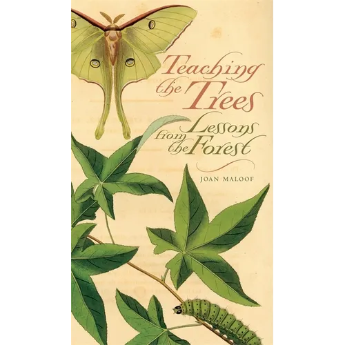 Teaching the Trees: Lessons from the Forest - Paperback