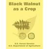 Black Walnut as a Crop - Paperback