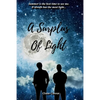 A Surplus of Light: A Gay Coming-of-Age Tale - Paperback