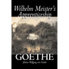 Wilhelm Meister's Apprenticeship by Johann Wolfgang von Goethe, Fiction, Literary, Classics - Hardcover