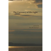 The Currency of His Light - Paperback