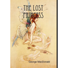 The Lost Princess - Hardcover