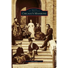 Chicago's Mansions - Hardcover