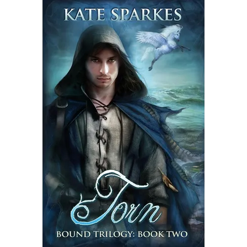 Torn - Paperback