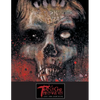 Teenage Timberwolves: Lust For Lightning - Paperback