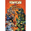 Teenage Mutant Ninja Turtles vs. Street Fighter - Paperback