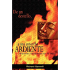 De un destello, a una antorcha ardiente - Paperback