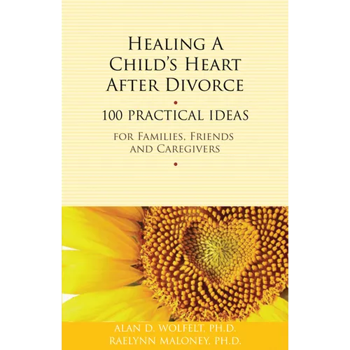 Healing a Child's Heart After Divorce: 100 Practical Ideas for Families, Friends and Caregivers - Paperback