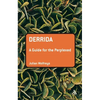 Derrida: A Guide for the Perplexed - Paperback