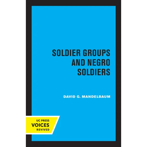 Soldier Groups and Negro Soldiers - Paperback