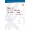 Divine Christology in the Epistle to the Hebrews: The Son as God - Paperback