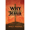 Why I Believe in Jesus (and Why You Should, Too) - Paperback