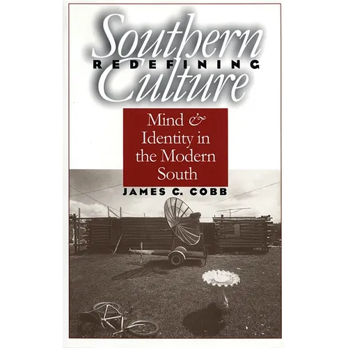 Redefining Southern Culture: Mind and Identity in the Modern South - Paperback