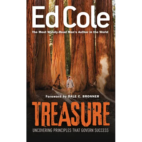 Treasure: Uncovering Principles That Govern Success - Paperback