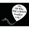 Why, Oh Why, Did A Witch Swallow A Fly - Hardcover
