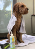 Calming™  Puppy + Dog Conditioner