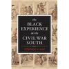 The Black Experience in the Civil War South - Paperback