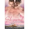 The Shipwreck - Paperback