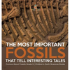 The Most Important Fossils That Tell Interesting Tales Curious About Fossils Grade 5 Children's Earth Sciences Books - Hardcover