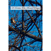A Treatise On Mental Prayer - Paperback