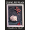 Beyond the Brain: Birth, Death, and Transcendence in Psychotherapy - Paperback
