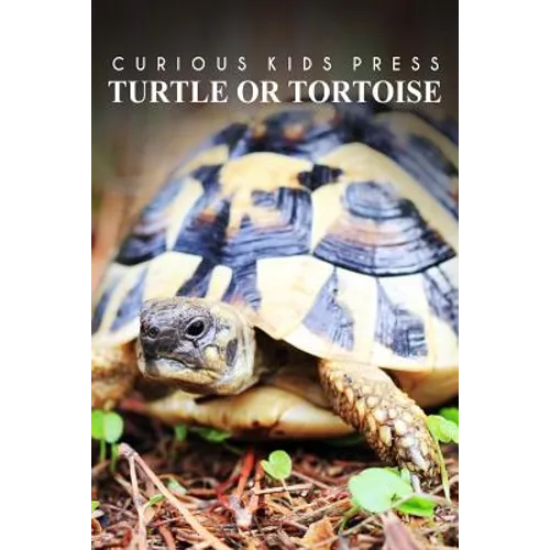 Turtle Or Tortoise - Curious Kids Press: Kids book about animals and wildlife, Children's books 4-6 - Paperback
