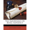 The Importance of Being Imperfect - Paperback
